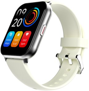 Смарт годинник HiFuture Zone 2 Silver (zone2.silver)