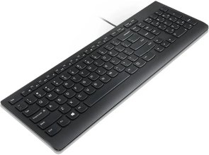 Клавіатура Lenovo Essential Wired Keyboard UKR Black (4Y41R64634)