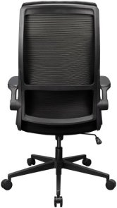 Крісло ігрове Cougar Stryder, Black