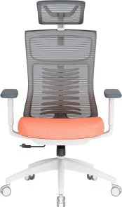 Фото: Крісло OfficePro Balance OC550-W-DG-OR White/Dark Gray/Orange № 3 | KTC