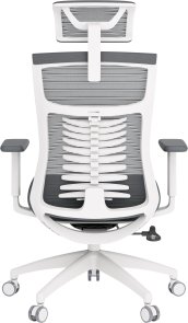 Крісло OfficePro Balance OC550-W-DG-DG White/Dark Gray
