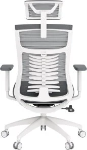 Фото: Крісло OfficePro Balance OC550-W-DG-DG White/Dark Gray № 4 | KTC