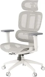 Фото: Крісло OfficePro Skyline OC680 White/Light Gray (OC680-W-LG-LG) № 2 | KTC