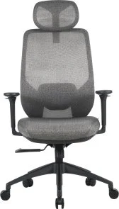 Фото: Крісло OfficePro Comfort OC524G Gray № 2 | KTC
