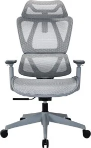 Фото: Крісло OfficePro Anvio OC590G Grey № 2 | KTC