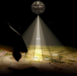 Ехолот Deeper Smart Sonar Chirp +4 (FNG0071)