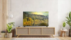 Фото: Телевізор QLED Ergo 50JFQ7555 (Google TV, Wi-Fi, 1920x1080) № 14 | KTC