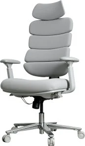 Фото: Крісло OfficePro FlexCore OC120G Grey № 2 | KTC