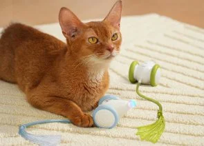Фото: Інтерактивна розумна іграшка-мишка для котів Cheerble Wicked Mouse Green (CWJ03G) № 11 | KTC