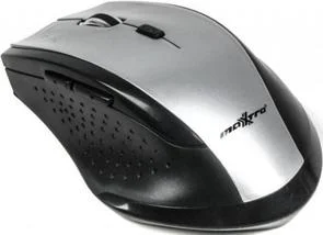 Фото: Миша Maxxtro Mr-311-S Silver № 4 | KTC