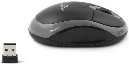 Фото: Миша Esperanza Titanum TM116E Black/Gray (TM116E Black/Grey) № 2 | KTC