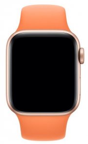 Ремінець Apple Sport Band для Apple Watch 40mm Papaya - S/M & M/L