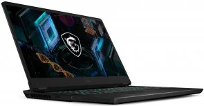 Фото: Ноутбук MSI GP7611UG-614XUA Black - 17.3" IPS 240 Гц / Intel Core i7 / i7-11800H / DDR4 16 ГБ / PCI-E SSD 1 ТБ / GeForce RTX 3070 № 2 | KTC