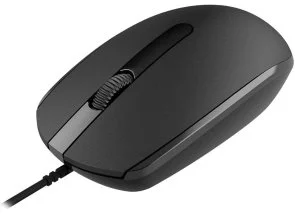Фото: Миша Canyon CNE-CMS10B Black № 4 | KTC