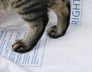Підкладка PETKIT High Performance Cat Litter Pad ULTRA (P99035)