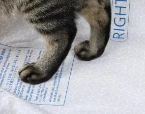 Фото: Підкладка PETKIT High Performance Cat Litter Pad ULTRA (P99035) № 8 | KTC