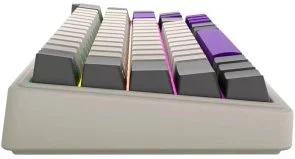 Фото: Клавіатура Lorgar KBP70MW Toxic Purple ENG WL/RT/USB Beige (LRG-KBP70MW-RT-US) № 6 | KTC