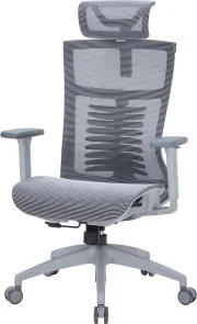 Фото: Крісло OfficePro Balance OC620 Gray/Dark Gray (OC620-G-DG-DG) № 2 | KTC