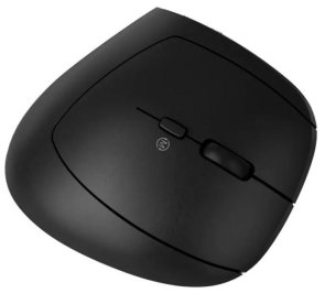 Миша Canyon MW-25 Ergonomic LED AA Dual Mode Wireless Black (CNS-CMSW25)