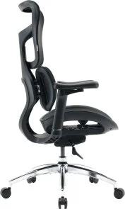 Фото: Крісло SIHOO Doro S100 Black (S100-M301) № 3 | KTC