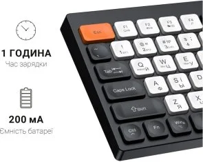 Фото: Клавіатура OfficePro SK985BO WL/BT Black/White № 13 | KTC