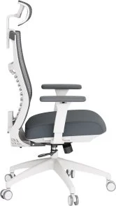 Фото: Крісло OfficePro Balance OC550-W-DG-DG White/Dark Gray № 5 | KTC