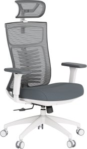 Крісло OfficePro Balance OC550-W-DG-DG White/Dark Gray