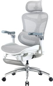 Крісло SIHOO Doro C300 Pro with Footrest White (DORO-C300-PRO-M102-JT)