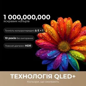 Фото: Телевізор QLED Dreame Vivid 75Q100 (Smart TV, Wi-Fi, 3840x2160) № 6 | KTC