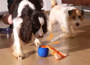 Фото: Інтерактивна електромеханічна іграшка Cheerble Wicked Ball Rolly Bright Orange (CWQ07O) № 13 | KTC