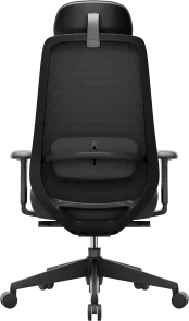 Фото: Крісло OfficePro Omnis OC640B Black № 3 | KTC