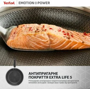 Фото: Сковорода Tefal Emotion+ Power 24cm (SET_E3410455) № 10 | KTC
