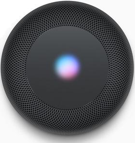 Колонка Apple HomePod Space Gray (MQHW2)