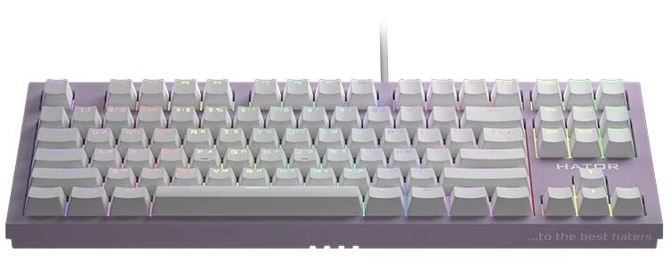Фото: Клавіатура Hator Skyfall TKL Pro Lilac (HTK-658) № 2 | KTC