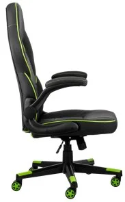 Фото: Крісло 2E Hebi Black/Green (2E-GC-HEB-BK) № 4 | KTC