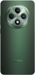 Смартфон OPPO Reno12 FS 5G CPH2637 12/512GB Olive Green