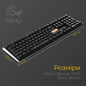 Фото: Клавіатура Ducky One 3 Cherry MX Blue RGB ENG/UKR Black (DKON2108ST-CUAPXCLAWSC1) № 11 | KTC