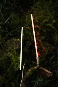 Фото: Торшер Novacom LED 115cm White (lamp-mid-b1122 White) № 10 | KTC