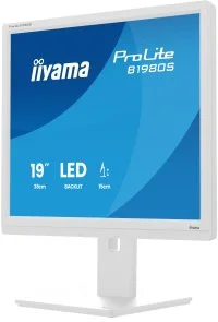 Фото: Монітор iiyama ProLite B1980S-W1 White - 19" TN+Film / 1280×1024 / 75 Гц / Pivot / HAS № 4 | KTC