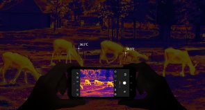 Смартфон Doogee Fire 6 6/256GB Black (6923740234303)