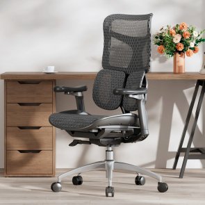 Крісло SIHOO Doro S100 Black (S100-M301)