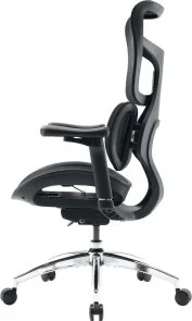Фото: Крісло SIHOO Doro S100 Black (S100-M301) № 4 | KTC
