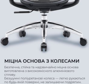 Крісло SIHOO Doro C300L Black (DORO-C300L-A3-101)