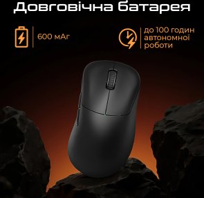 Миша RAWM ER21PRO Black (6973487190387)
