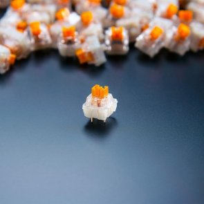 Перемикач Razer Mechanical Switches Pack Orange Tactile Switch 36 pcs (RC21-02040300-R3M1)