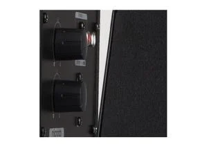 Фото: Колонки Microlab M-290 Black № 4 | KTC