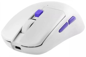 Миша Proove Everon Wireless White (WMEV00022002)