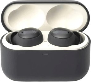 Гарнітура вакуумна Final Audio ZE500 TWS Bluetooth v 5.4, for ASMR Dark Gray