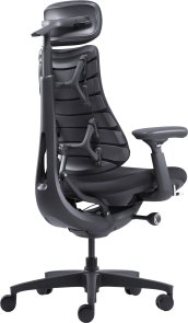 Крісло LiberNovo Omni Midnight Black (CP-GW-0000015-00-01)