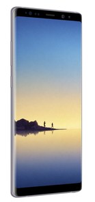 Смартфон Samsung Galaxy Note 8 64GB Orchid Gray (SM-N950FZVDSEK)